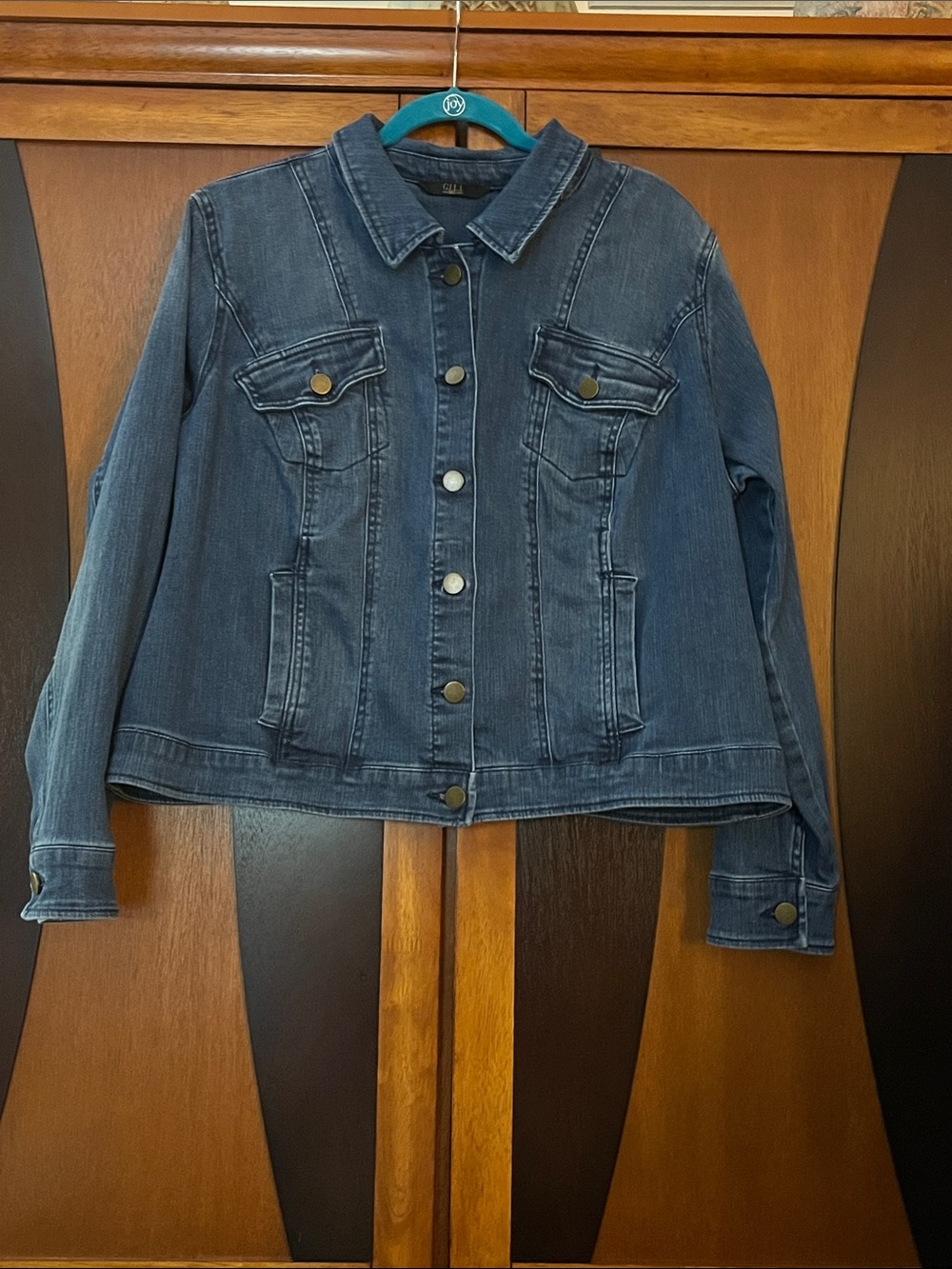 GILI Women's Dark Wash Denim Jacket - Business in the Front - Party in the Back!